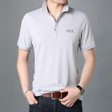 夏季短袖t恤男潮流翻领POLO衫男士商务休闲半袖体恤AJY2092-P60，男装T恤，电商B212（原钱塘6029）