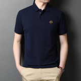 夏季新款纯棉短袖T恤男上衣中青年男士休闲半袖POLO衫D2003-P73，男装T恤，电商B212（原钱塘6029）