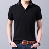 夏季纯棉短袖男士翻领T恤商务休闲刺绣POLO衫男半袖AJY2151-P60，男装T恤，电商B212（原钱塘6029）