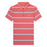 夏季短袖t恤男潮流翻领POLO衫男士刺绣休闲半袖体恤QLM88120-P75，男装T恤，电商B212（原钱塘6029）