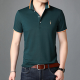 夏季轻商务休闲短袖T恤男翻领POLO衫男士潮流半袖体恤衫D8209-P70，男装T恤，电商B212（原钱塘6029）