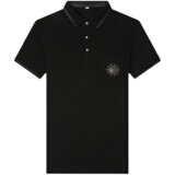 夏季短袖t恤男潮流翻领POLO衫男士刺绣休闲半袖体恤AJY2086-P65，男装T恤，电商B212（原钱塘6029）