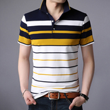 夏季纯棉短袖男士翻领T恤商务休闲条纹POLO衫男半袖AJY2136-P60，男装T恤，电商B212（原钱塘6029）