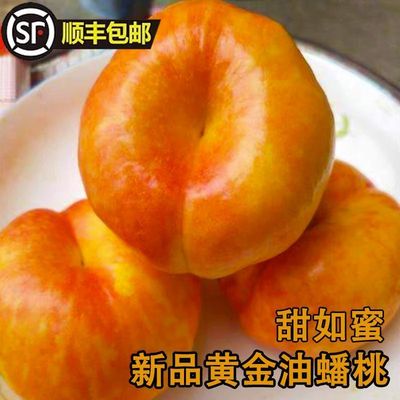 【爆甜】纯甜黄金油蟠桃黄油蟠桃黄心油桃黄油扁桃新鲜水果桃