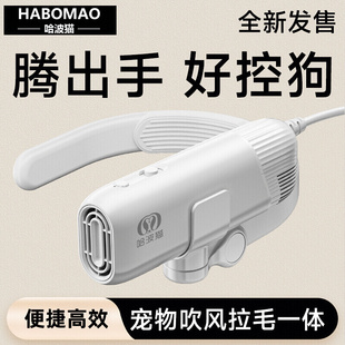 宠物挂脖吹风机狗狗专用强力吹水机猫洗澡烘干拉毛一体机小型家用