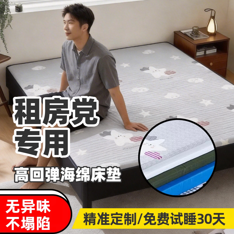 高密度可拆洗租房床垫送试睡30天图片