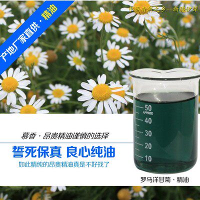 罗马洋甘菊精油5毫升脸上皮肤红单方精油