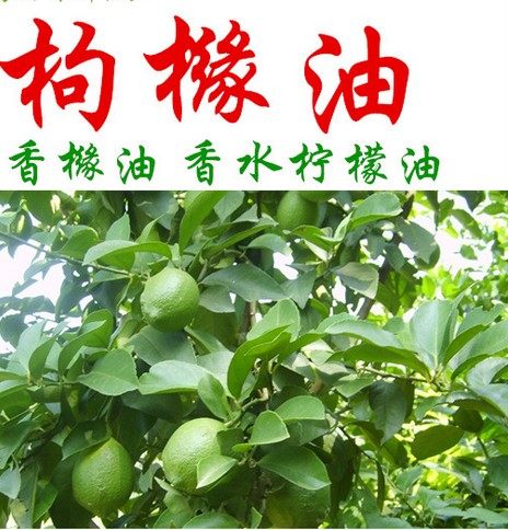 意大利香橼皮精油10毫升枸橼子单方精油冷压芳疗精油佛手柑