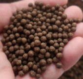 定制鸡内金焦三仙丸200克炒山楂神曲陈皮非精油