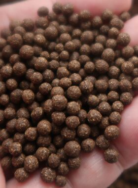 定制柴胡香附丸200克枳实白芍川芎党参白术茯苓厚朴砂仁非精油