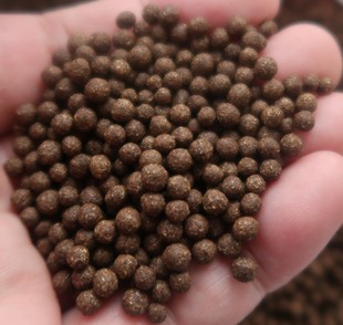 定制人参黄柏丸200克砂仁熟地远志五味子天冬养发脱发失眠非精油