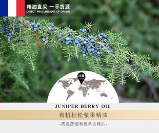 法国杜松浆果精油5ml高温蒸馏面部平衡水油收敛紧实