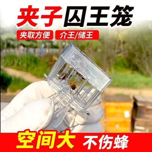 书夹式王笼塑料王笼夹子蜜蜂囚王笼关王抓蜂王专用养蜂工具防逃器