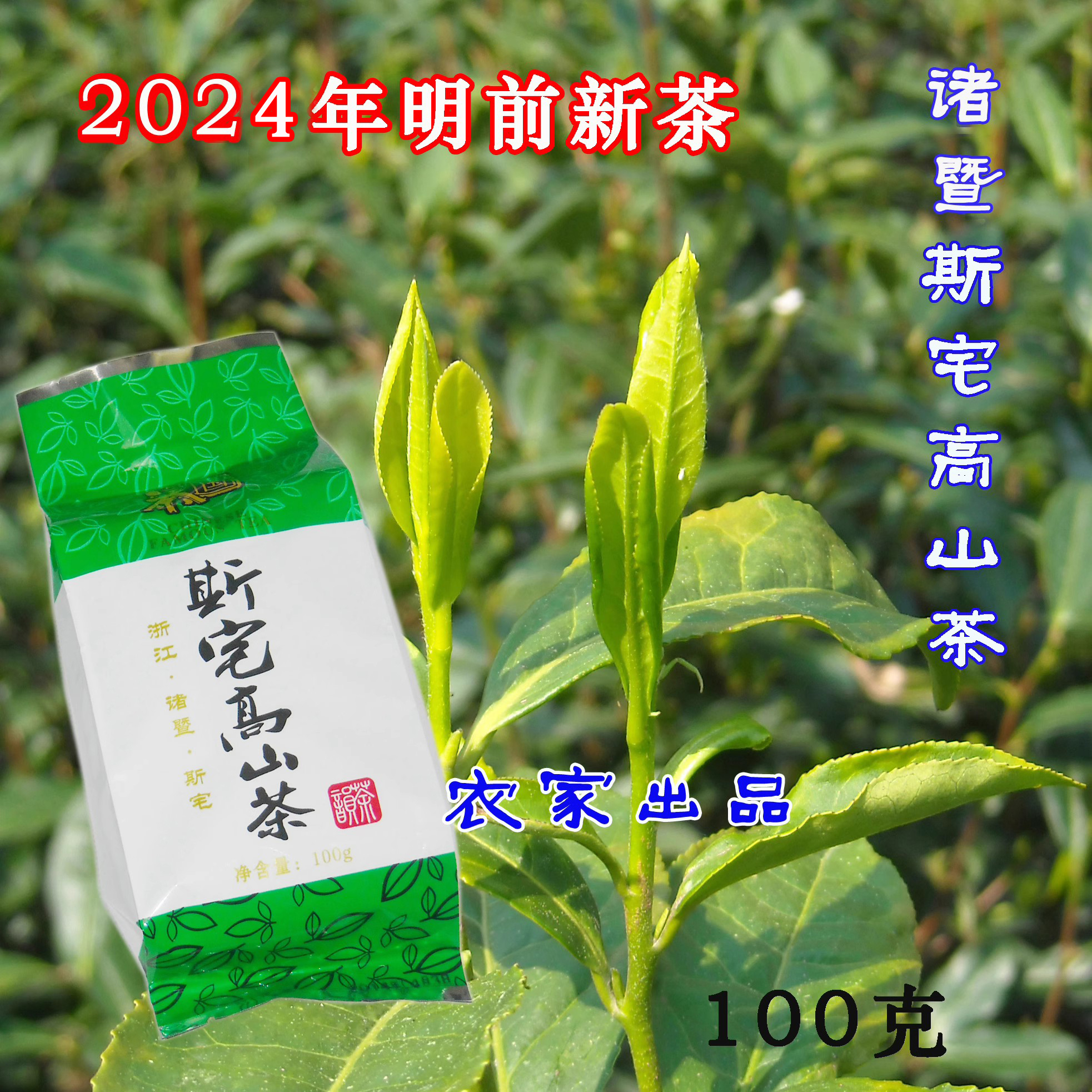 2024年明前茶诸暨名茶斯宅高山茶叶石笕茶绿茶100克一包农家茶
