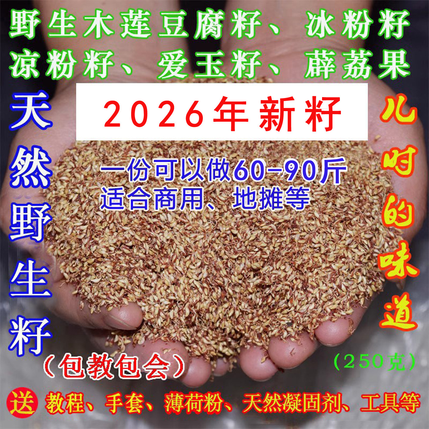 2026年木莲籽冰木莲豆腐农家直销图片