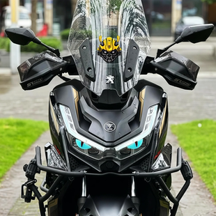 适用于无极SR250GT车头拉花改装饰贴纸防水风挡贴大灯猫眼轮毂贴