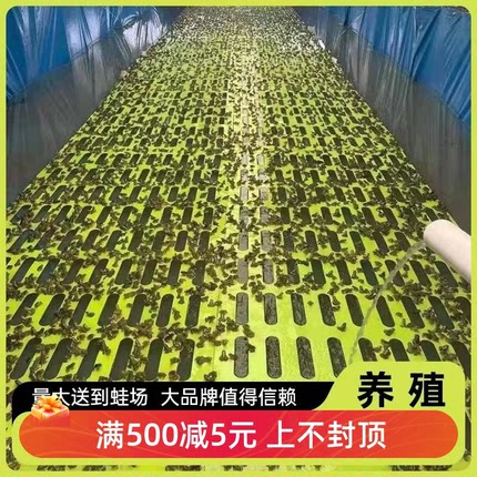 锦星环保蓝绿牛蛙垫子蛙类工具牛蛙饲养材料养殖食台池塘专用站台