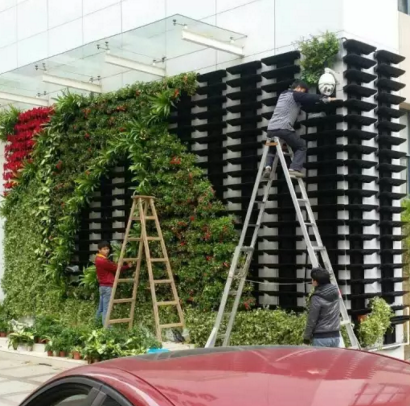 greensun智能积木植物墙体立体垂直真绿化墙室内外家庭花盆装饰墙