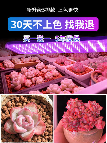 正阳全光谱led多肉补光灯家用上色快防徒长仿太阳光花卉植物生长