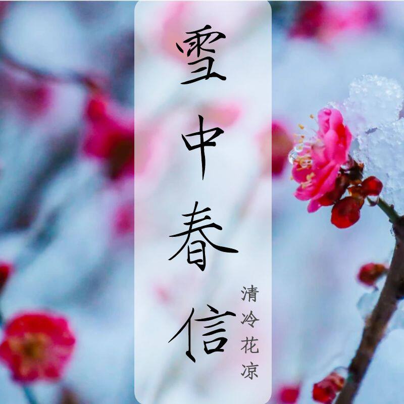 雪中春信清冷花香持久沉香香薰线香室内家用办公瑜伽酒店空间高级