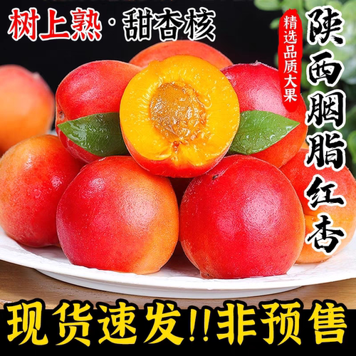 胭脂红杏贵妃杏洗洗带皮吃