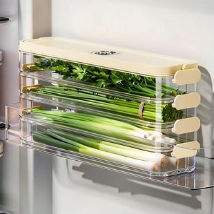 小葱香菜保鲜盒厨房收纳大葱蔬菜冰箱侧门整理防串味可叠加分装盒