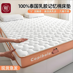 宿舍家用乳胶记忆榻榻米单人学生专用软垫租房棉卧室床垫180x200