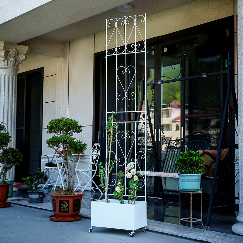 自带桶爬藤架月季铁线莲架网格风车茉莉攀爬阳台花架铁艺花园支架