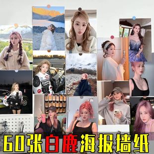 60张白鹿贴墙海报高清写真壁纸墙上氛围感房间卧室装 饰画背景墙贴