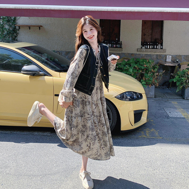 现货牛仔马甲+水墨画长裙套装297-858-P145-K208，女装套装/套裙，艾艾淮淮