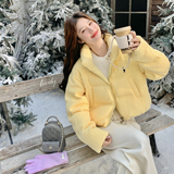 【新款】现货针织小个子洋气90绒保暖外套297-1949-P275-K408，女装短外套，艾艾淮淮