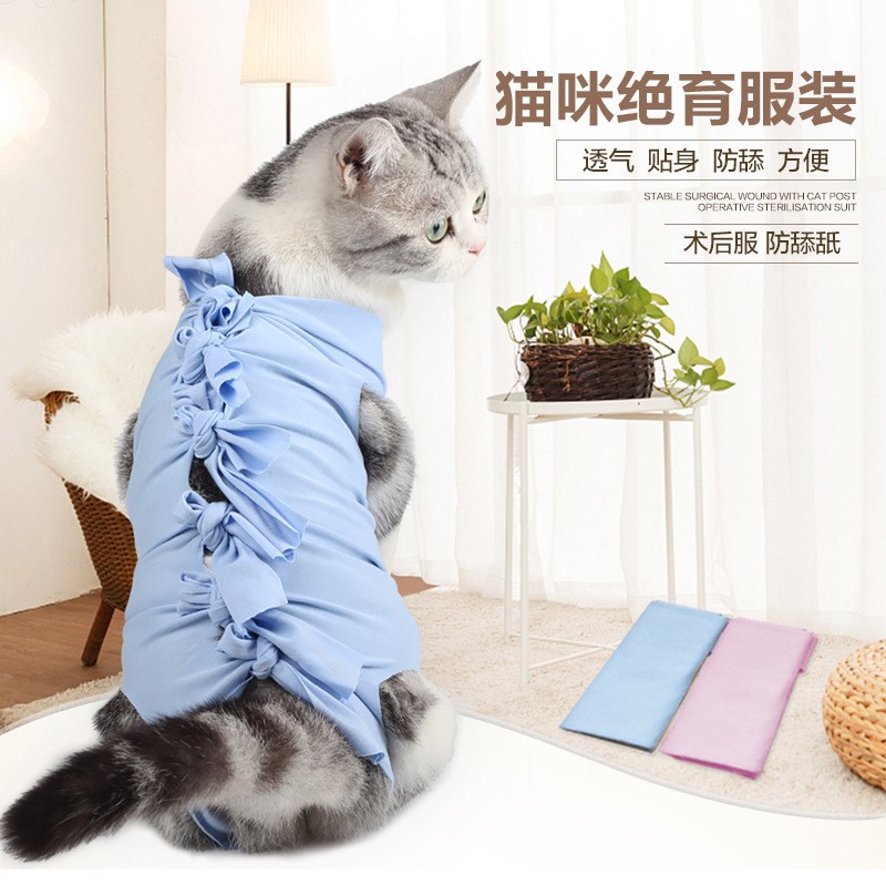 猫咪绝育手术服母猫断奶服术后防咬防舔透气弹性四脚猫咪宠物衣服 宠物/宠物食品及用品 狗宠物服装/雨衣 原图主图