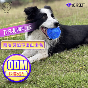 狗狗玩具发声玩具球狗狗磨牙洁齿耐咬球金毛泰迪训练玩具宠物用品