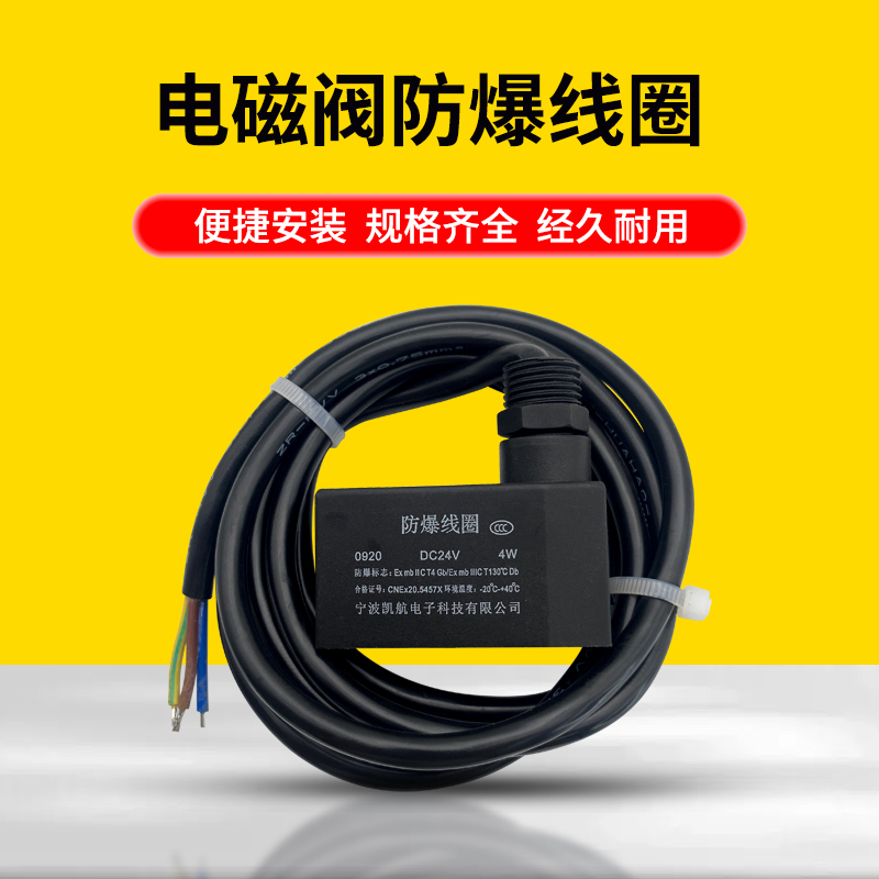 24/220V电磁线圈抗压防爆YOLON