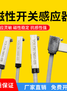 磁性开关感应器气缸信号接近开关二线电DMSJ/DMSG/DMSE/DMSH-020