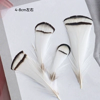 Пятьдесят корней светло -серых пленок с медной курицей белой головы