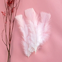 50 абрикосовых белых волос таблеток 50