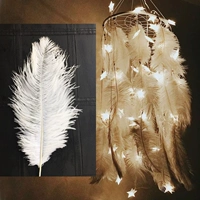 № 28 Острих-волосы белые 20-25 см 10 корней