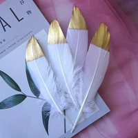 10 Серебряный белый твердый спрей Золотые головы 10