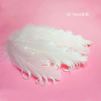 50 кудрявых белых белых корней