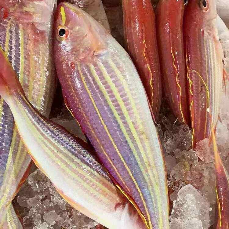 湛江新鲜红杉鱼红三鱼
