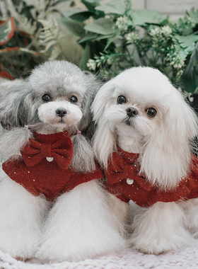 淘淘花瓣新年喜庆红色狗狗大衣拜年服泰迪约克夏小马宠物秋冬服装