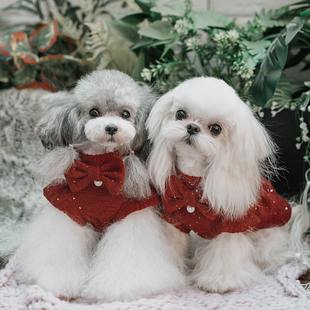 淘淘花瓣新年喜庆红色狗狗大衣拜年服泰迪约克夏小马宠物秋冬服装