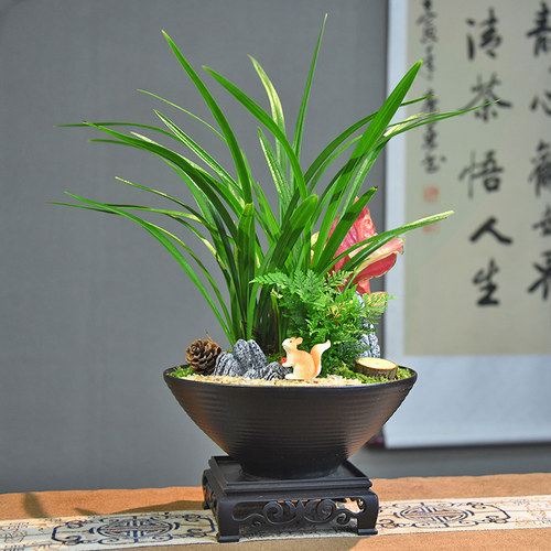 自然空间兰花客厅办公桌茶几桌面
