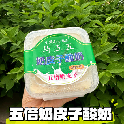 正品马五五老酸奶Plus版五倍加量奶皮子内蒙经典老式酸奶奶皮5倍