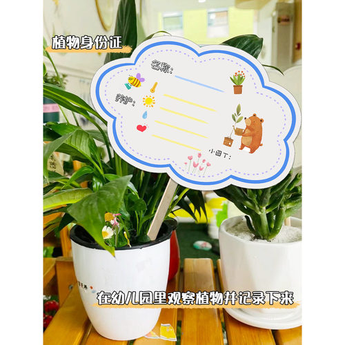 幼儿园植物区角材料自制教玩具植物身份角环创装饰区角教室走廊