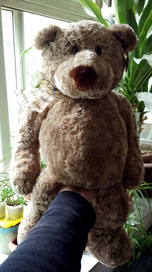 美国gund正品 teddy泰迪熊抱抱熊公仔毛绒玩具儿童生日礼物布娃娃