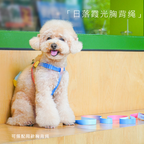 Touchdog它它幻彩狗胸背带牵引绳遛狗绳中小体型茶杯犬宠物狗链子