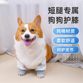 狗狗护肘衣前腿关节保护套柯基保暖防寒护膝衣防脏腿套手术保护套