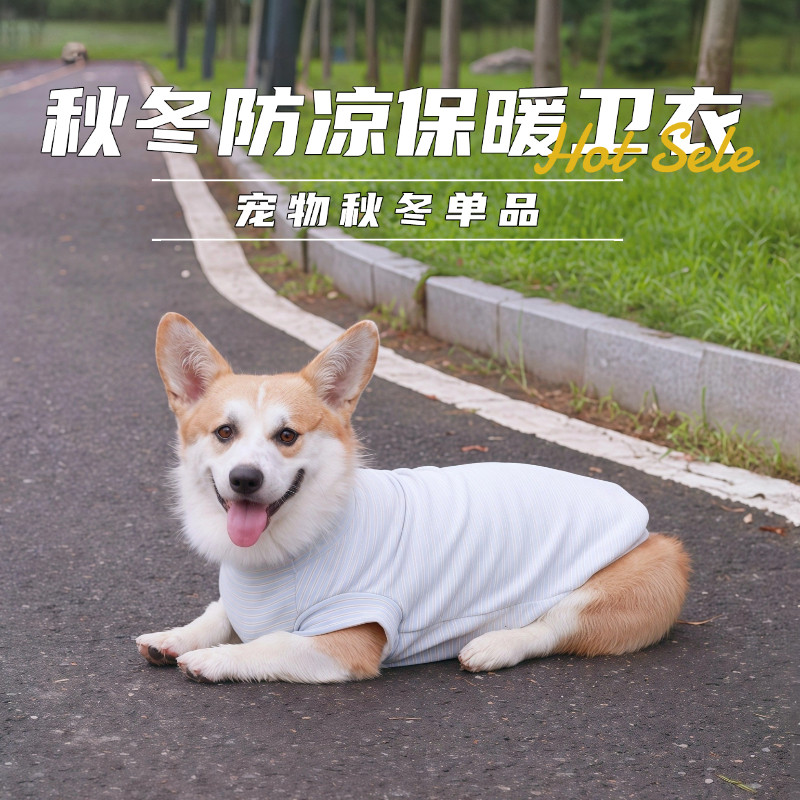狗狗衣服春秋款柯基比熊两脚背心宠物秋冬保暖卫衣加厚条纹卫衣